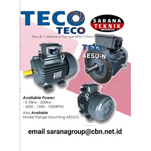 teco aesu - n series motor electric distributor sarana teknik