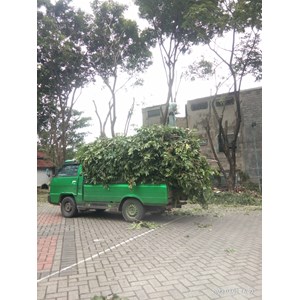 pertamanan terbaik-2