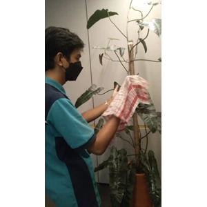 perawatan taman dusting daun tanaman indoor di protelindo