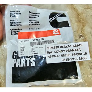 cummins 3176570 hexagon flange head cap screw