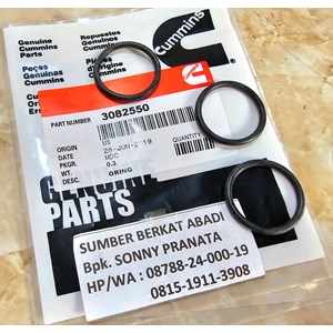 cummins 3082550 seal o-ring triangular nta855-1