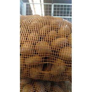 tanaman perkebunan kentang dieng grade ab-3