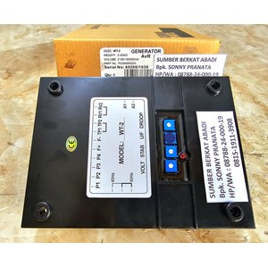 avr genset wt-2 avr wt2 avr generator wt 2 - top quality-5