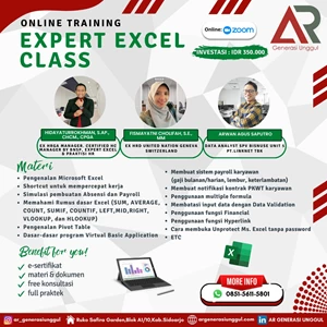 expert excel class (training)