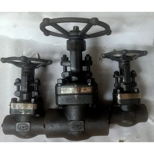cwt valve ( gate valve )-2