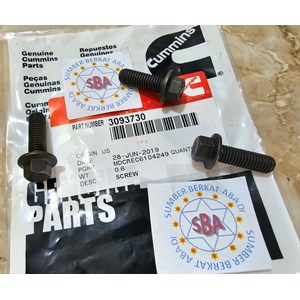 cummins 3093730 hexagon flange head cap screw-1