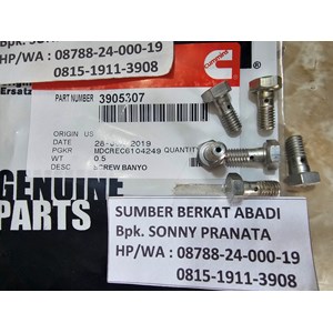 cummins 3905307 screw banjo connector 3902173-2