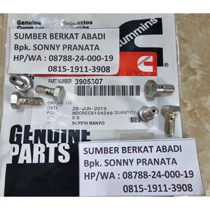 cummins 3905307 screw banjo connector 3902173-4