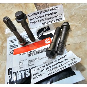 cummins 3900919 connecting rod cap screw-1