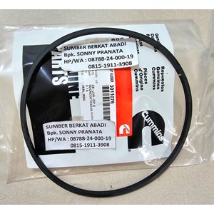cummins 3011076 seal 207524 cylinder liner 205181-1