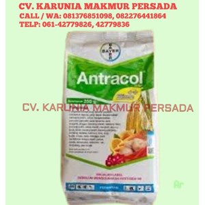 antracol 70 wp fungisida ampuh untuk menjaga kesehatan tanaman