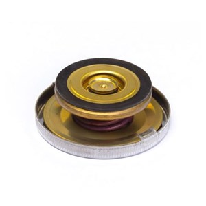 radiator cap 24870013 cover tank