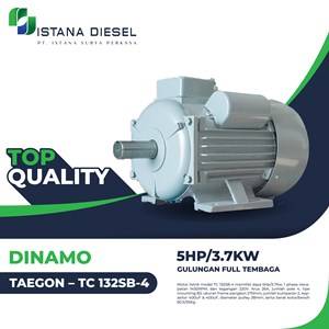 dinamo taegon – tc 132sb-4