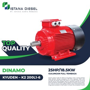 dinamo kyuden – k2 200l1-6