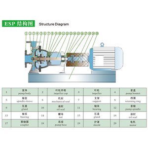 chemical centrifugal pump/pompa centrifugal-2