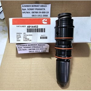 cummins 4914452 fuel injector - nta855-6