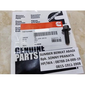 cummins 3900227 hexagon head cap screw - 6bta5.9