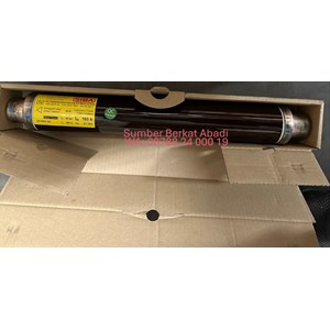siba 160 a 3010953.160 160a 7.2kv 67x442 80n 3010953160 3010953 160-1
