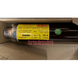 siba 160 a 3010953.160 160a 7.2kv 67x442 80n 3010953160 3010953 160-2