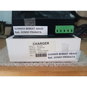automatic battery charger zh-ch2806 ch 2806 ch-2806 - dual output 12vd-1