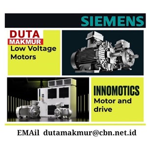 innomotics electric motor low voltage