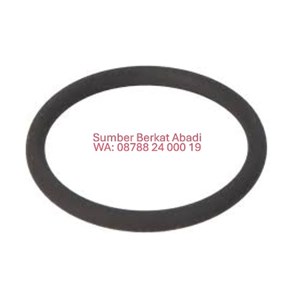seal ring 01319139 169.570 230-3775 3102646 169570 2303775 1319139