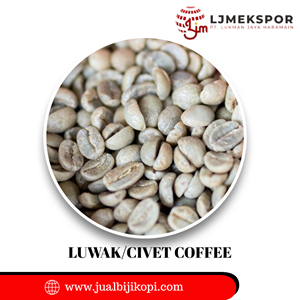 kopi luwak asli indonesia