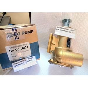 dj pump 25up sea water pump dj-u001 dju001 dj u001-4