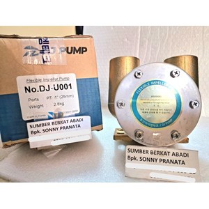 dj pump 25up sea water pump dj-u001 dju001 dj u001-2