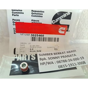 cummins 3025460 plug pipe - kta 19-1