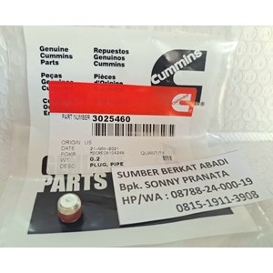 cummins 3025460 plug pipe - kta 19
