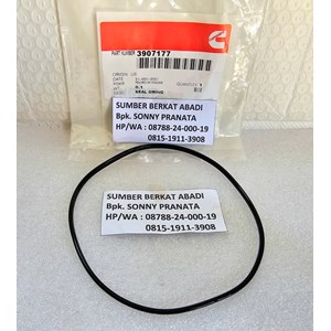 cummins 3907177 seal o-ring 3917737