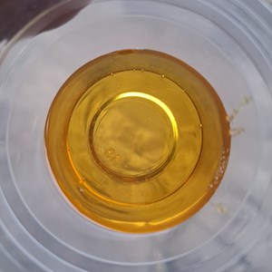 gum rosin, gondorukem-1