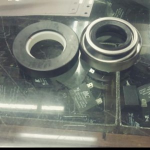 mechanical seal 301/25s-1
