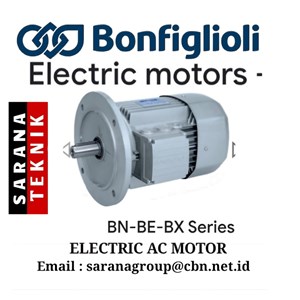 electric ac motors bn-be-bx series