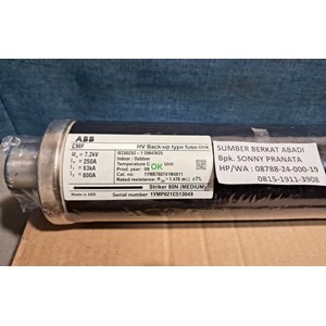 abb 250 a iec60282 fuse 1ymb760741m4811 fuse din43625 250a 72kv 63ka