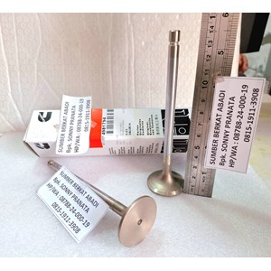 cummins 4981794 intake valve - 6lta8.9 isl isc qsl 6ct-3