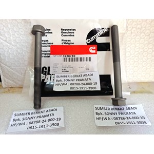 cummins 3920780 hexagon flange head cap screw 3918472 3903939 3901220-1