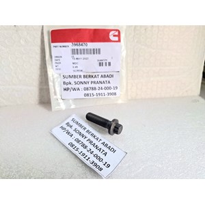 cummins 3968470 twelve point cap screw-4