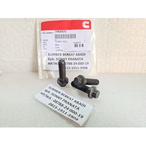 cummins 3968470 twelve point cap screw-1