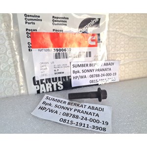 cummins 3900632 hexagon flange head cap screw