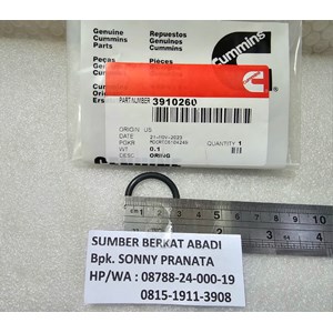cummins 3910260 seal o-ring-3