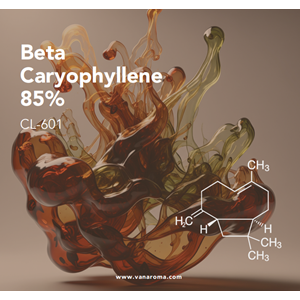 beta caryophyllene 85% (cl-601) van aroma / minyak atsiri