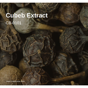 cubeb extract (cb-0101) van aroma / minyak atsiri