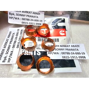 cummins 207244 seal injector 207244-3