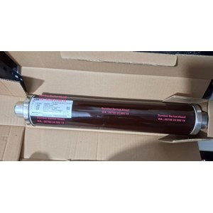 abb 1ymb711238m4812 6/12kv fuse 160a 3010343.160 757354 cp 160 a 12 kv-1