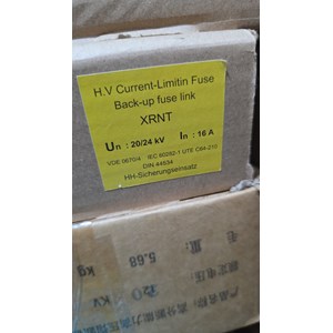 fuse 16a 20/24kv fuse 16 a 20/24 kv 3000613.16 300061316 - 1 batang