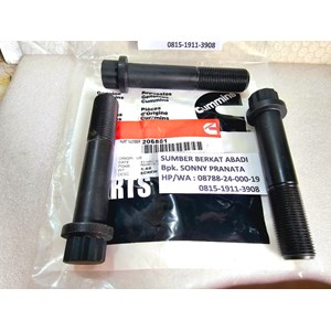 cummins 206881 twelve point cap screw-1