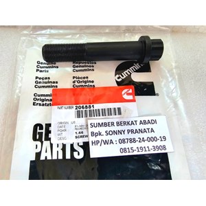 cummins 206881 twelve point cap screw-2