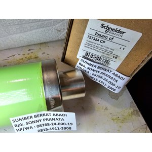 schneider 757354 cp 757354cp 12kv 160a 442mm fuse 3010343.160 genuine-3